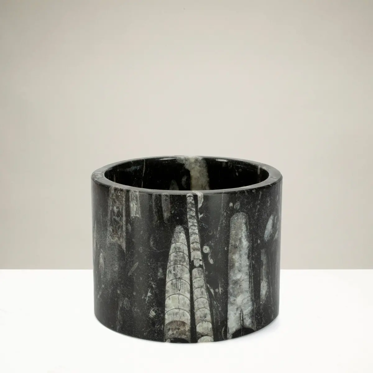Black Orthoceras Cup From Morocco- 4.5" 1