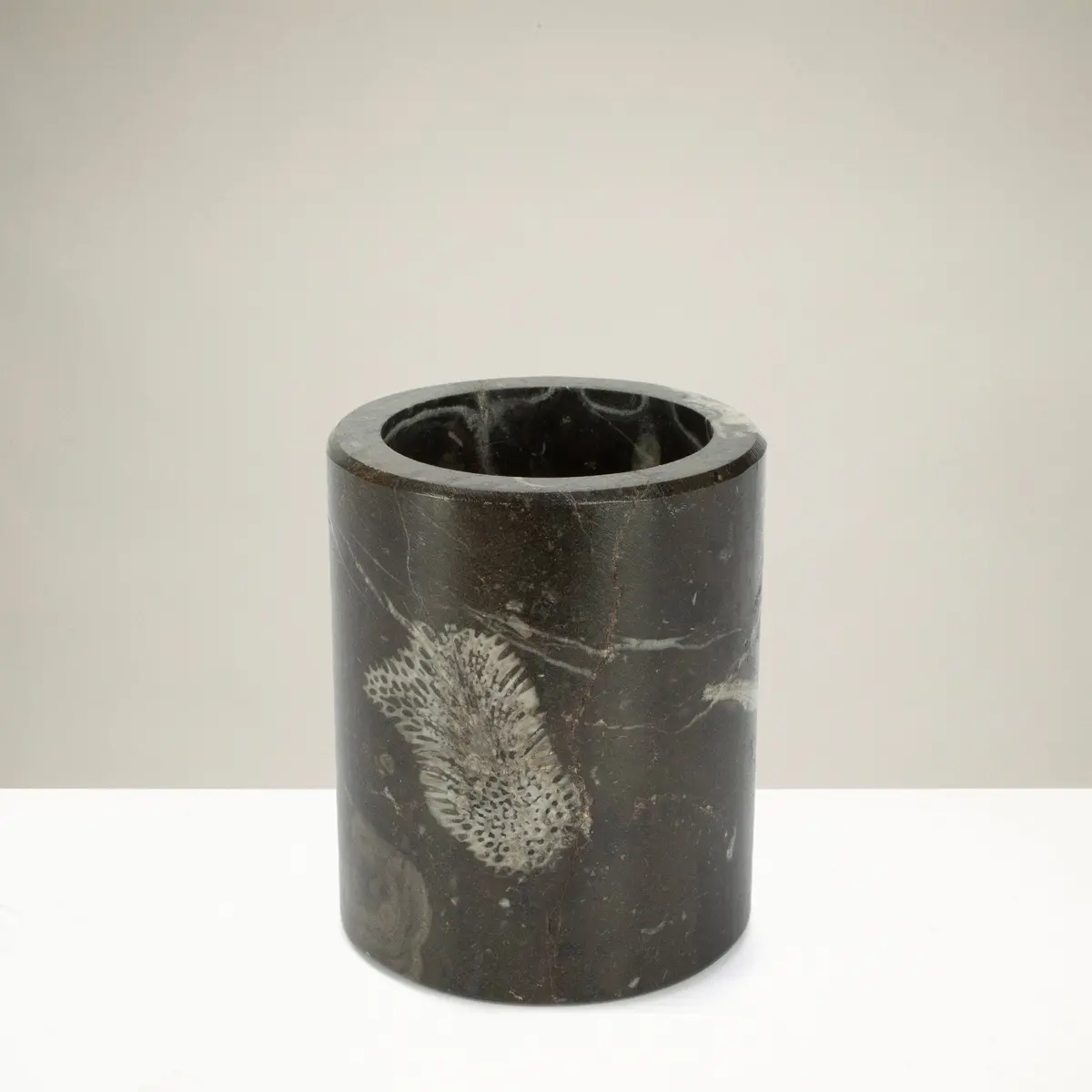 Brownish Black Orthoceras Cup From Morocco - 4" 1