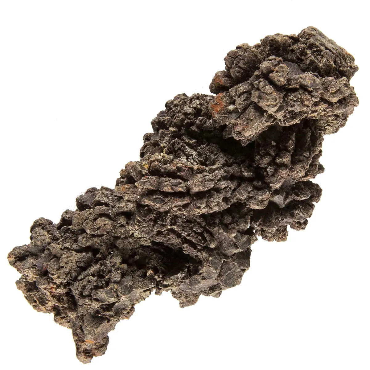 Dinosaur Dung Poop Coprolite From Madagascar 1