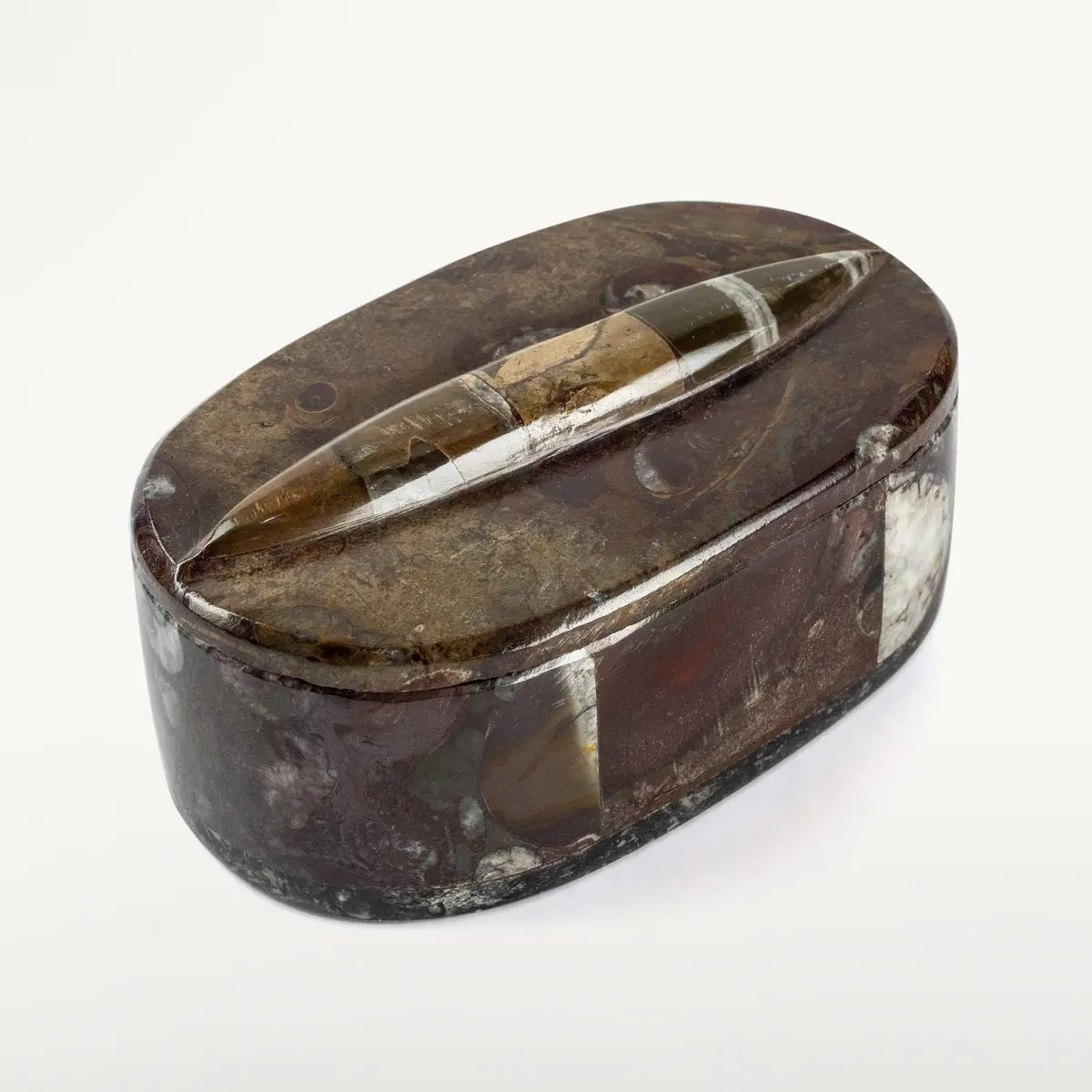 Moroccan Orthoceras Vanity Box 1