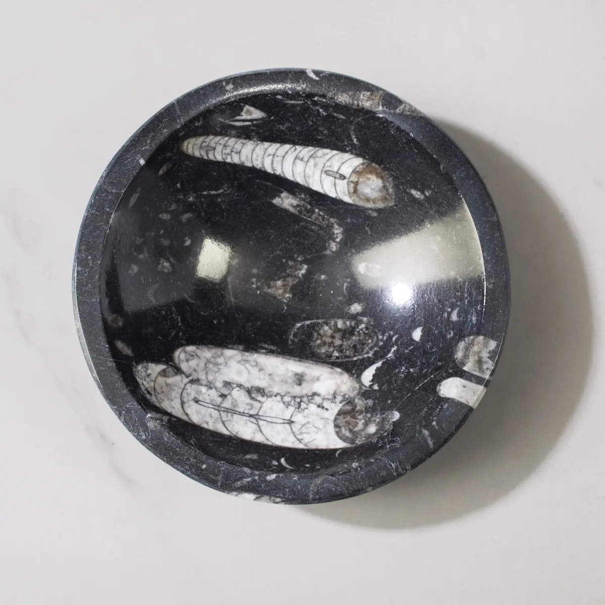 Natural Ammonite & Orthoceras Bowl From Morocco - 5" 1