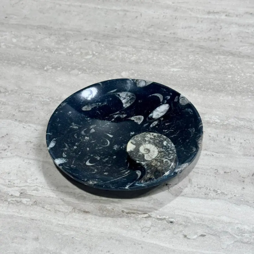 Natural Ammonite & Orthoceras Bowl From Morocco - 6.25" 1
