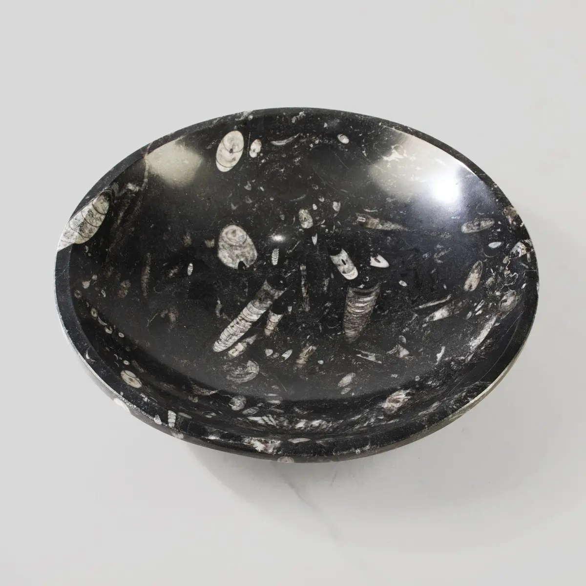 Natural Black Orthoceras Bowl From Morocco - 10" 1
