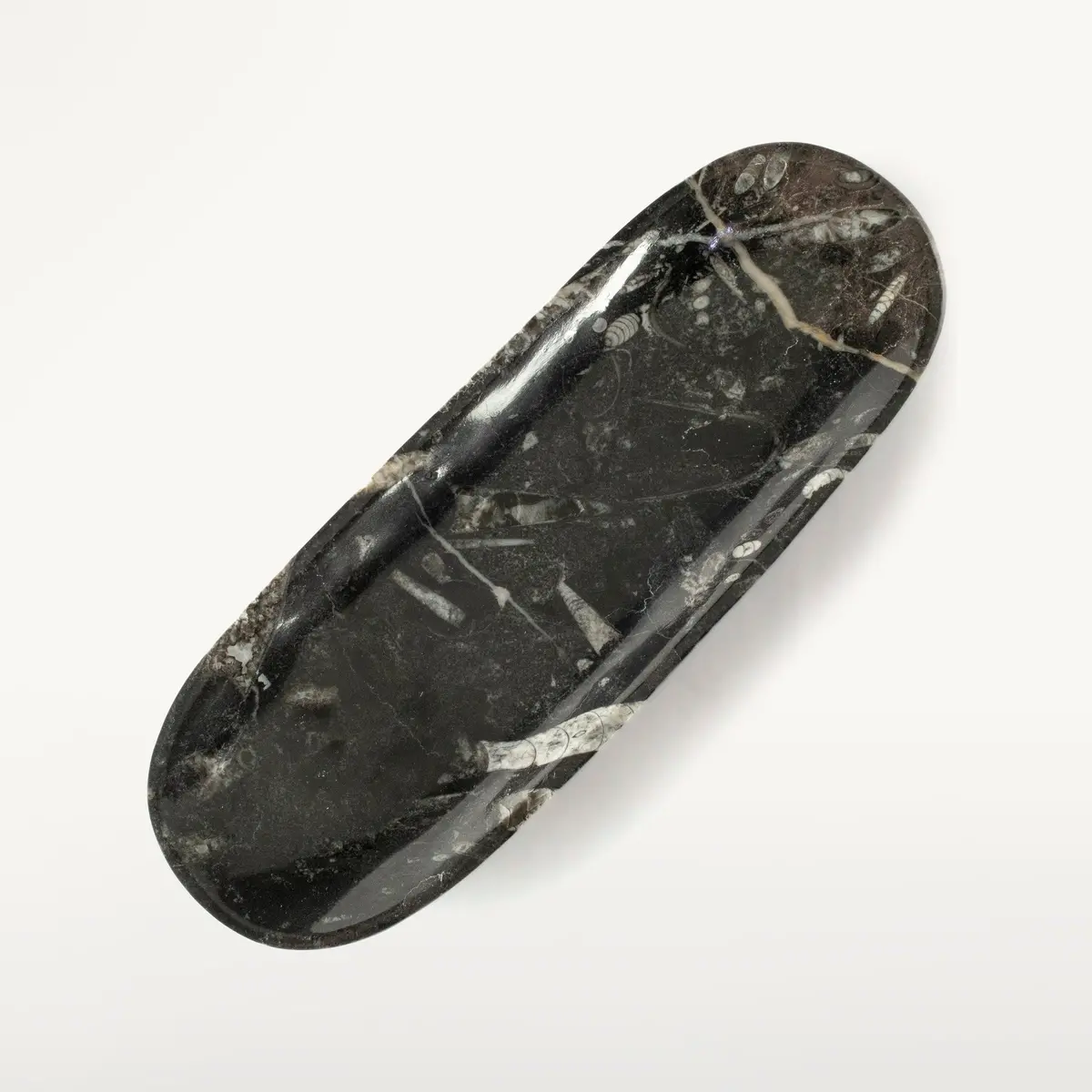 Natural Black Orthoceras Long Oval Bowl From Morocco- 12" 1