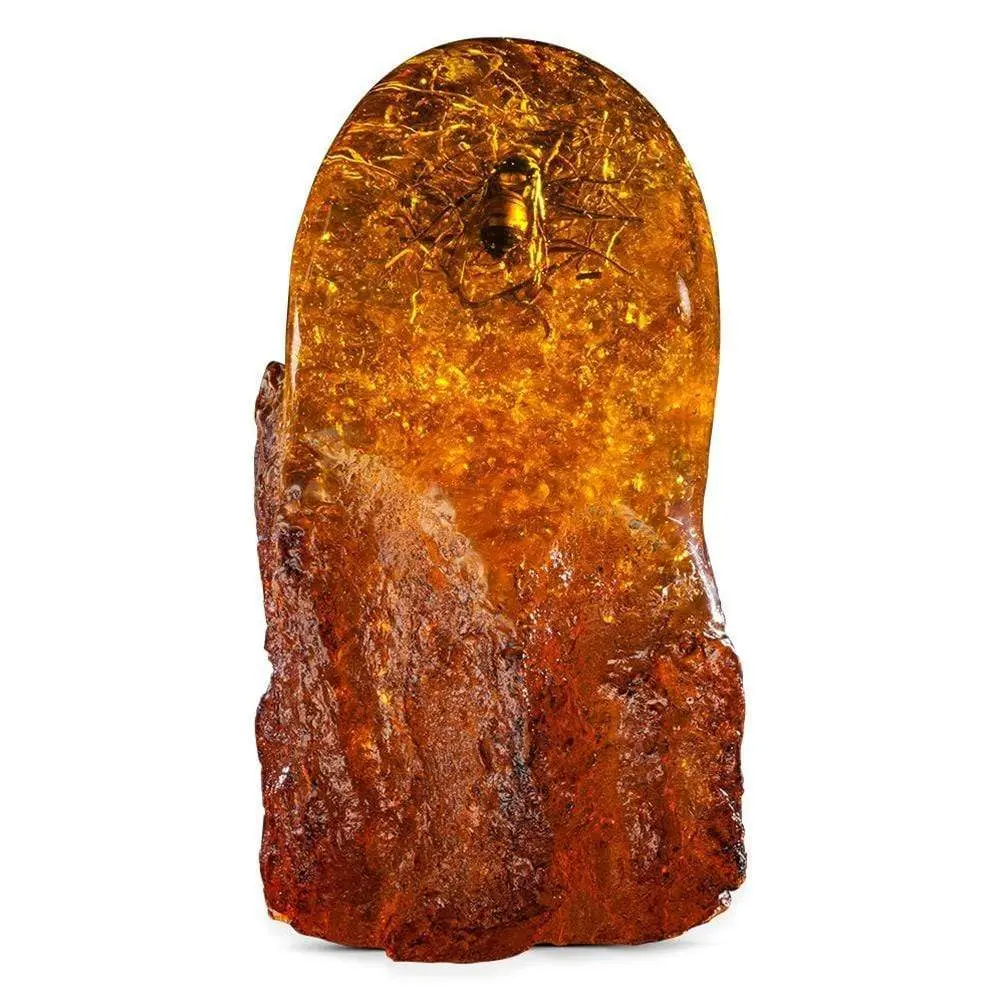Cultured Amber With Japanese Hornet 1