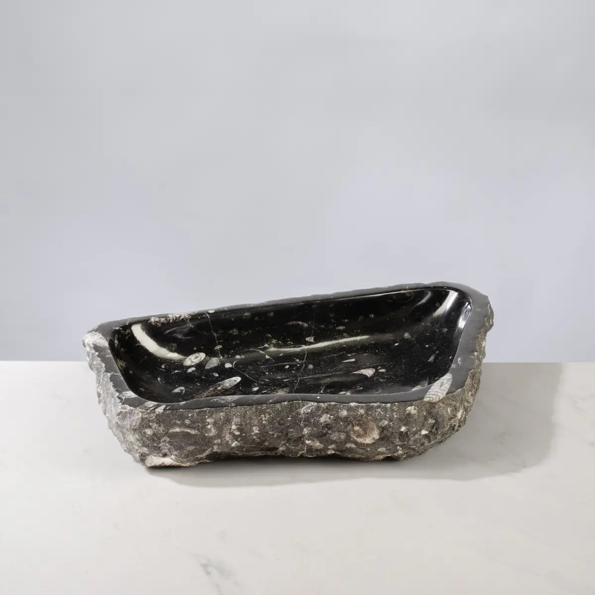 Orthoceras Bowl From Morocco - 12" / 8.6 Lbs 1