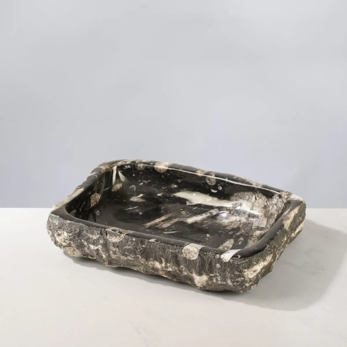 Orthoceras Bowl From Morocco - 12" / 9.5 Lbs 1