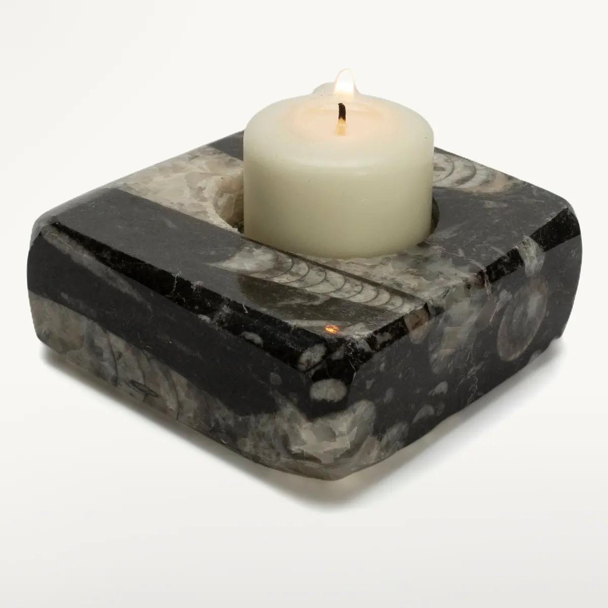 Orthoceras Candle Holder From Morocco 1