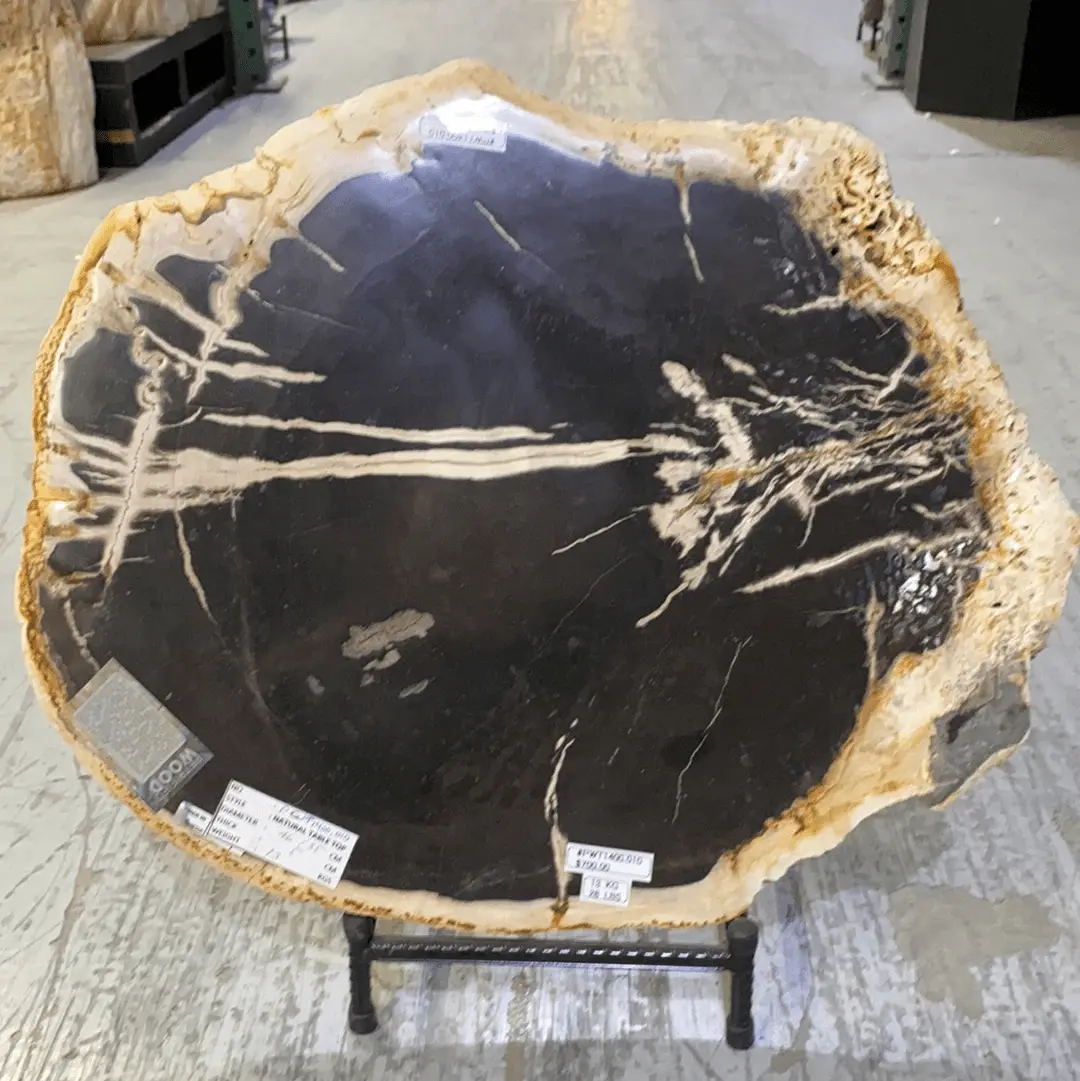 Pwt1400.010 - Petrified Wood Table Top 13 Kg/ 29 Lbs- Indonesia 1