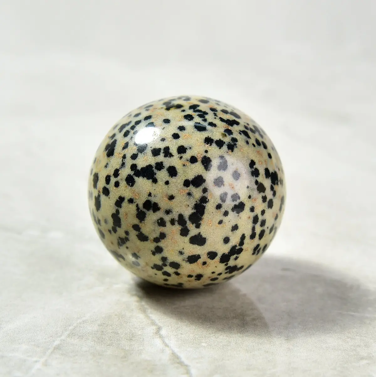 1.6" Dalmation Jasper Sphere Natural Gemstone Carving 1