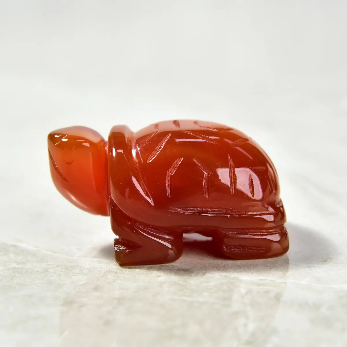 2" Carnelian Turtle Natural Gemstone Carving 1
