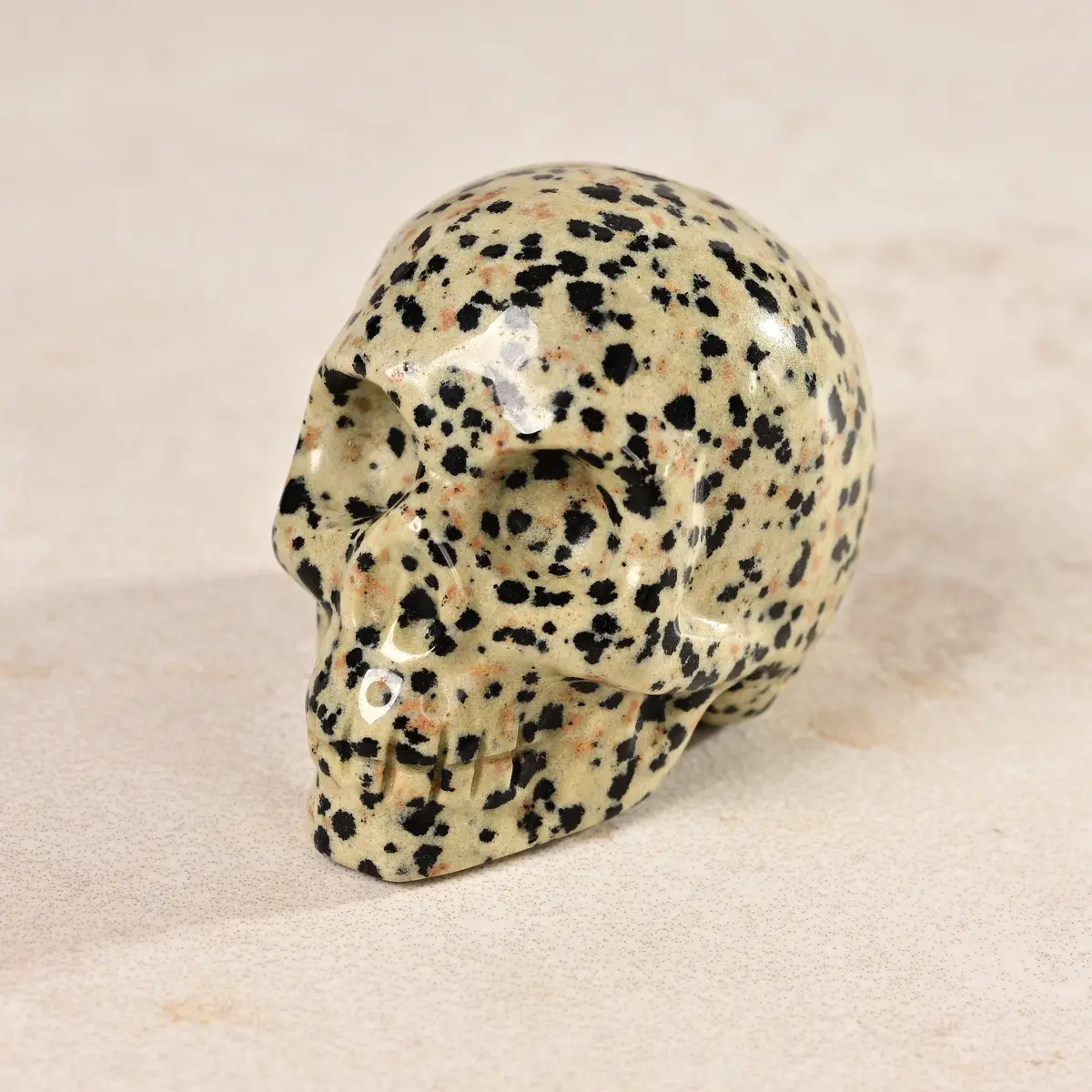 2" Dalmatian Jasper Skull Natural Gemstone Carving 1