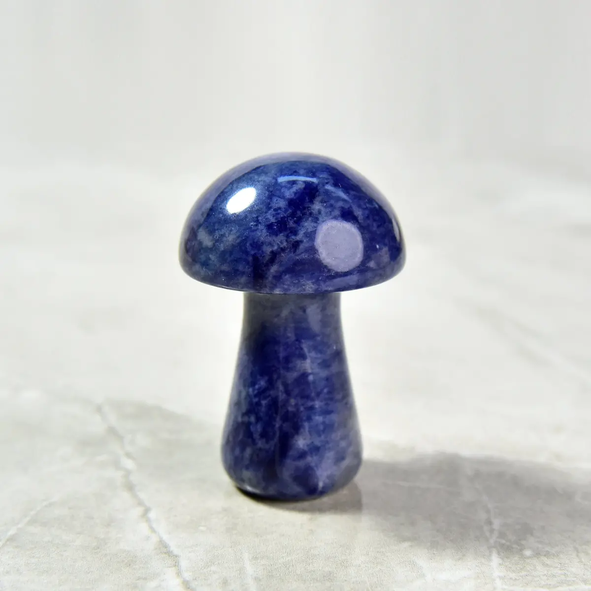 2" Sodalite Mushroom Natural Gemstone Carving 1