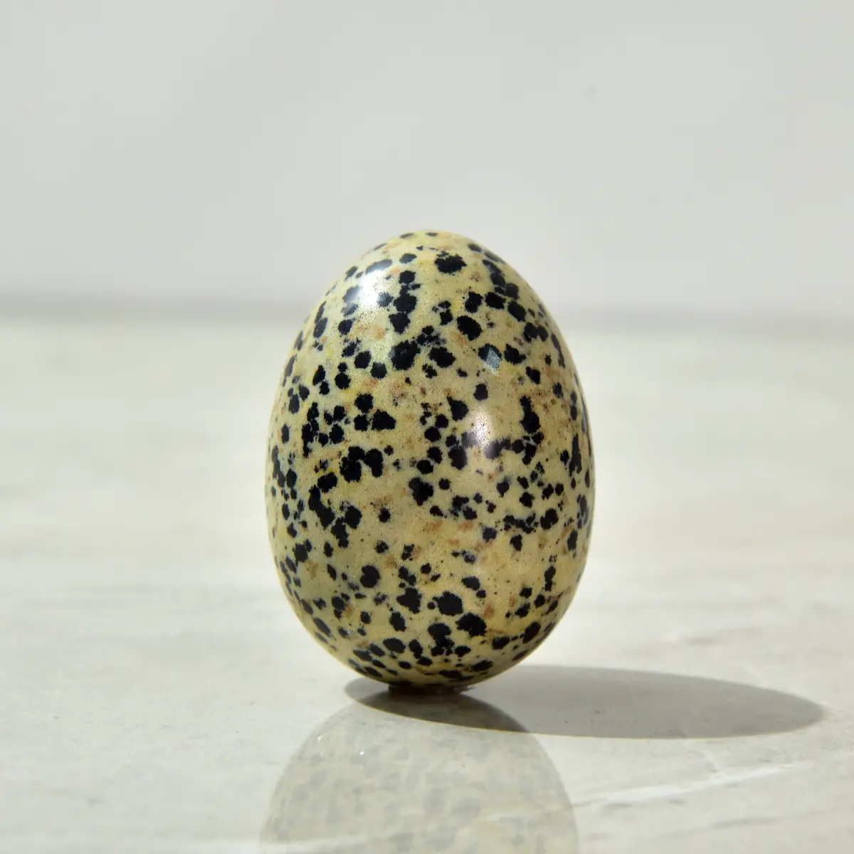 Dalmatian Jasper Egg Natural Gemstone Carving 1
