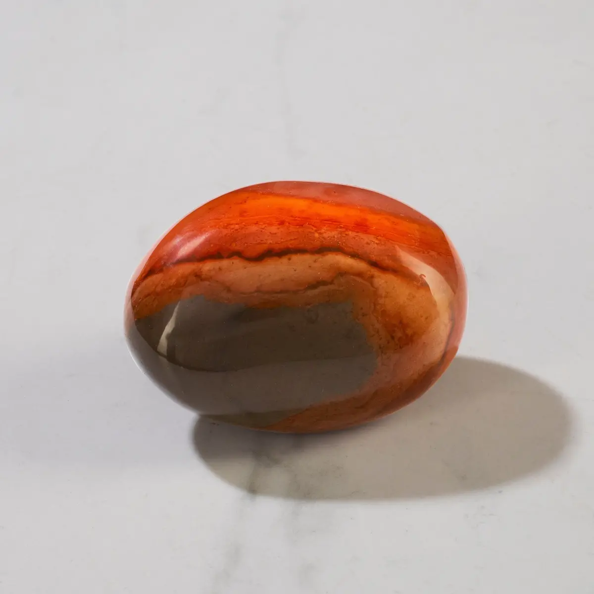 Desert Jasper / Polychrome Palm Stone 1