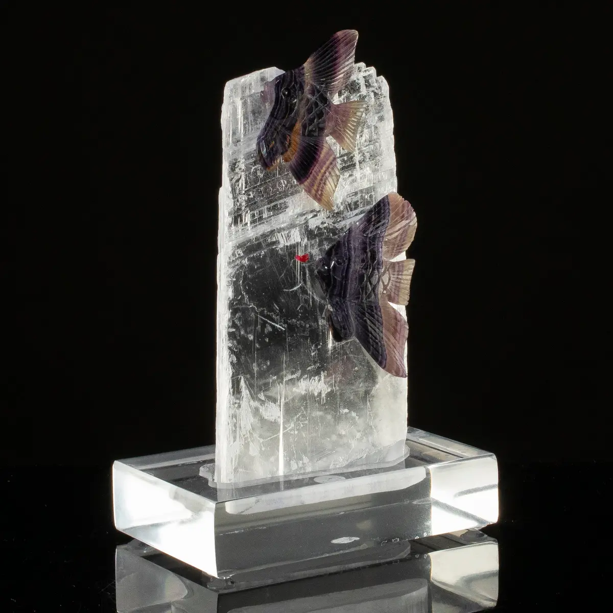Peter Muller Fluorite Fish Couple Carving On Calcite Base 1