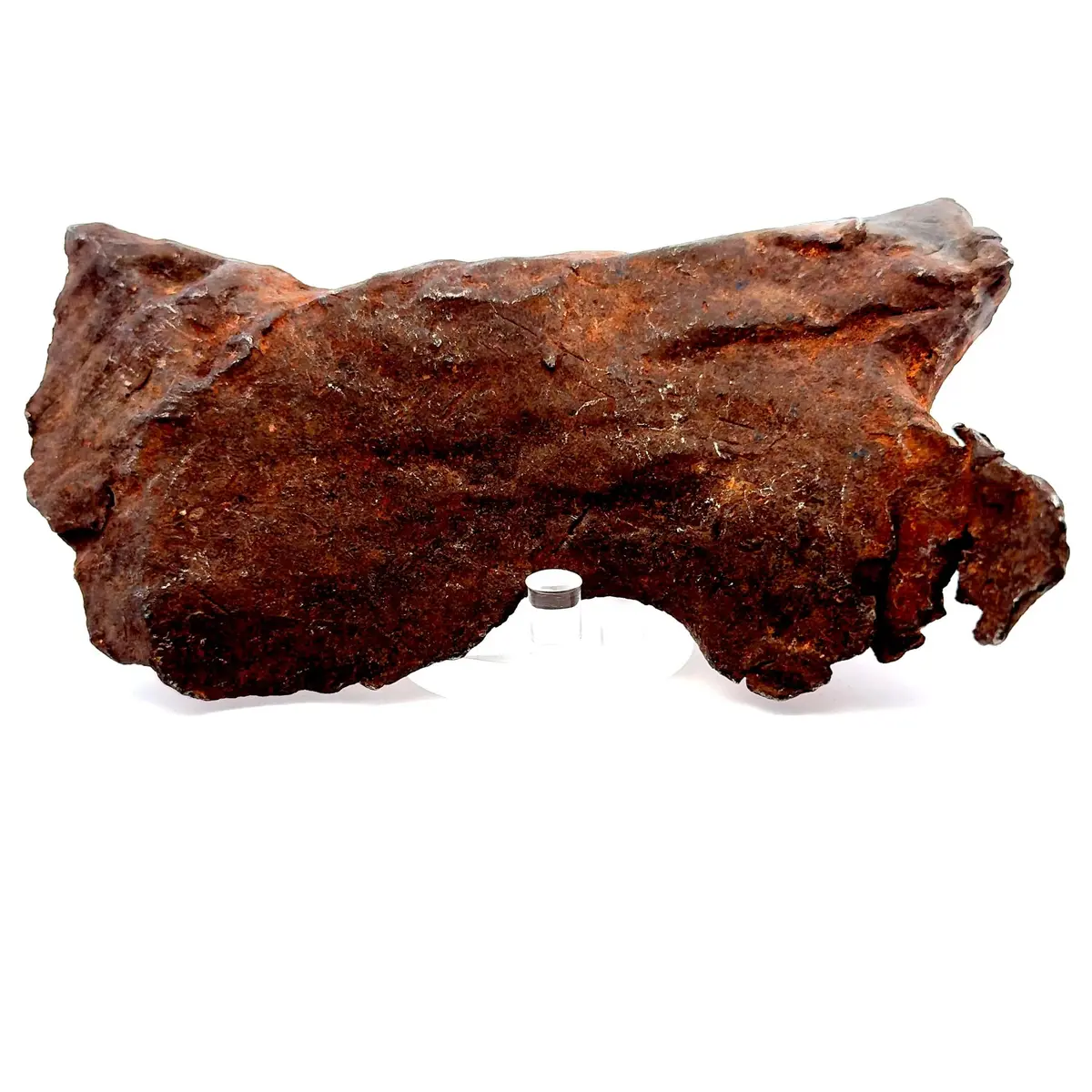 Gebel Kamil Iron Meteorite From East Uweinat Desert, Egypt 6.5" / 1,524 Grams 1