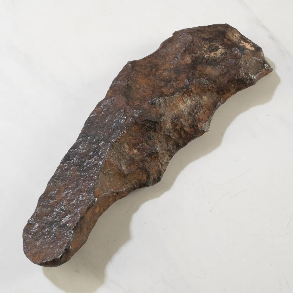 Gibeon Iron Meteorite From Namibia 10" / 2,480 Grams 1