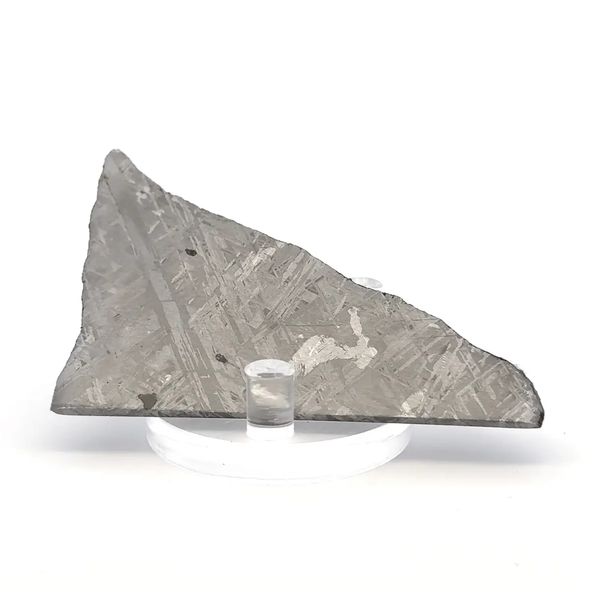 Gibeon Iron Meteorite Slice From Namibia 3.5" / 59 Grams 1