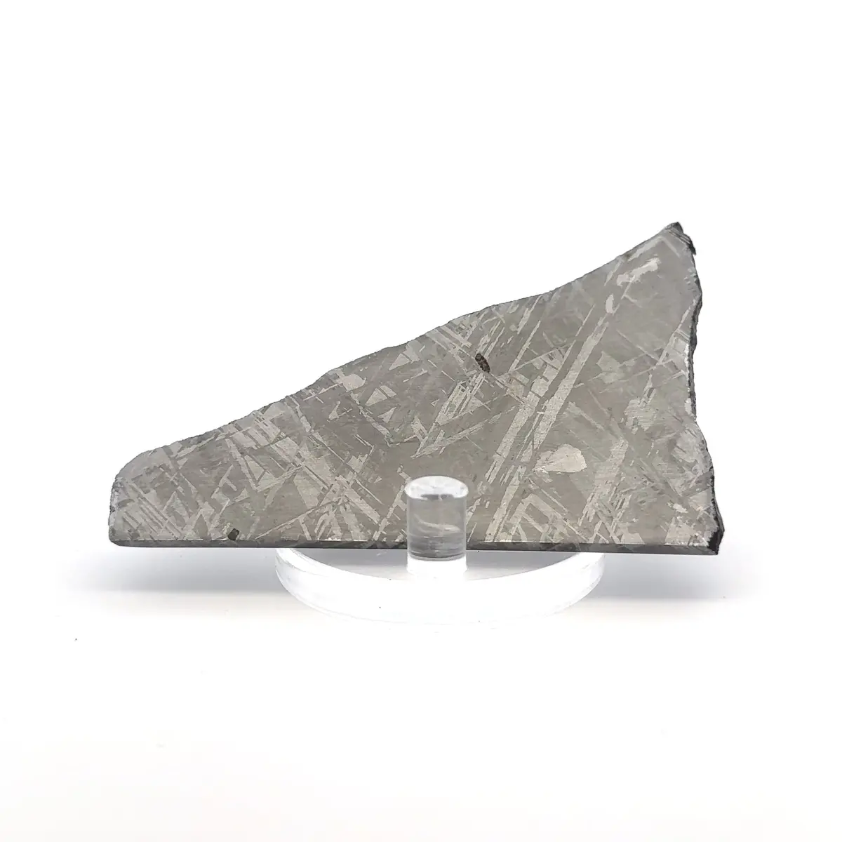 Gibeon Iron Meteorite Slice From Namibia 3.5" / 69 Grams 1