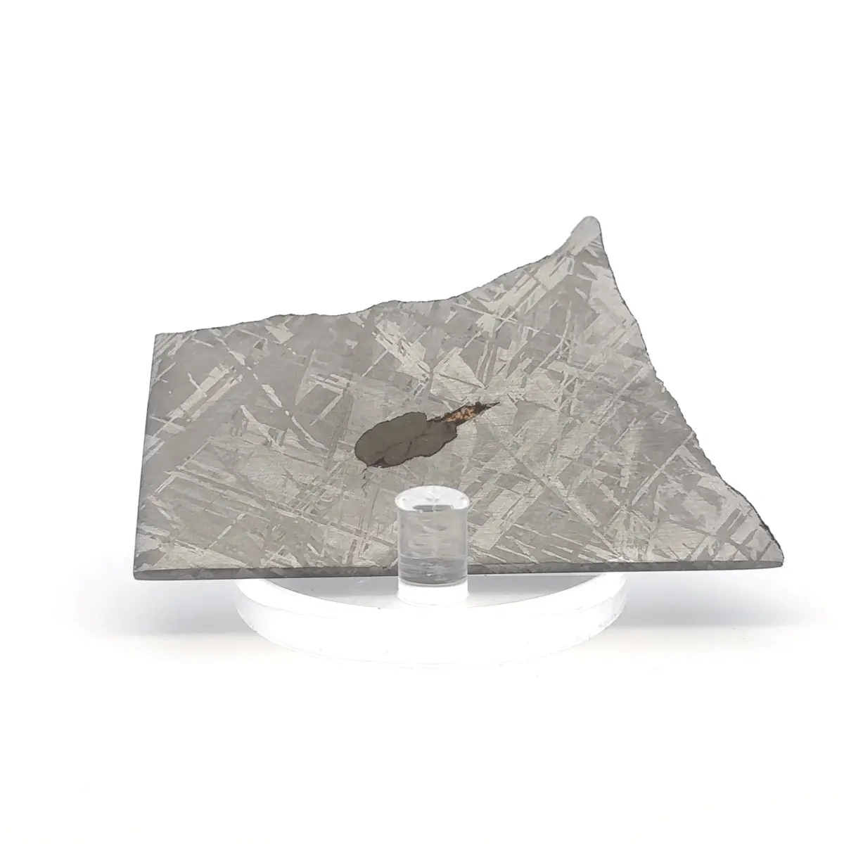 Gibeon Iron Meteorite Slice From Namibia 3" / 55 Grams 1