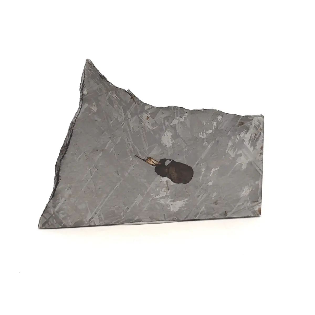 Gibeon Iron Meteorite Slice From Namibia 3" / 88 Grams 1