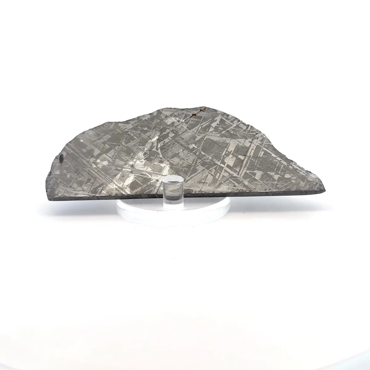 Gibeon Iron Meteorite Slice From Namibia 4.5" / 102 Grams 1