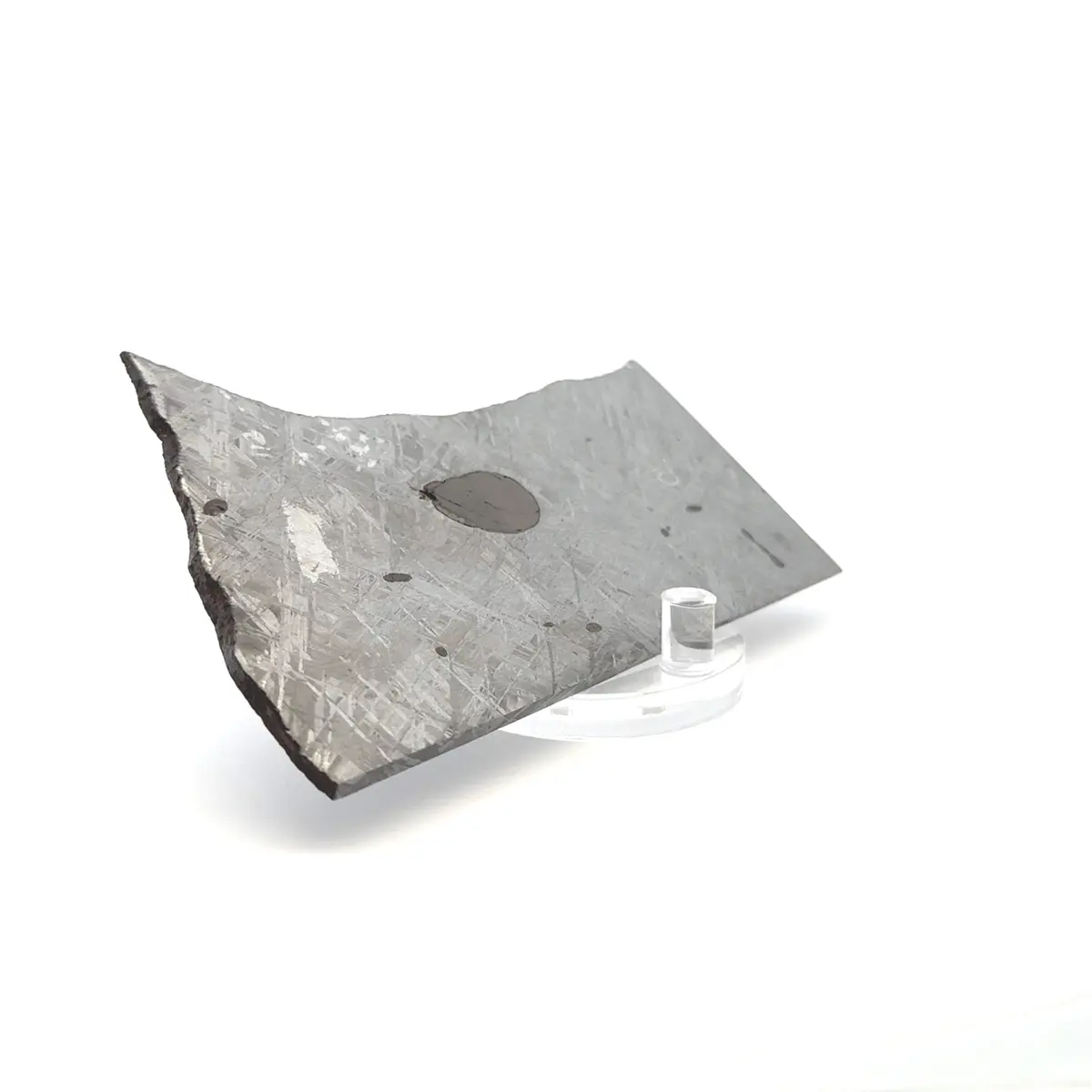 Gibeon Iron Meteorite Slice From Namibia 4.75" / 131 Grams 1