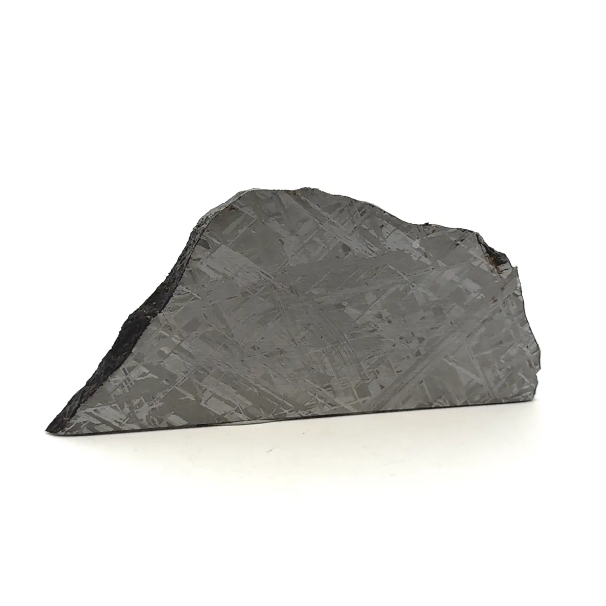 Gibeon Iron Meteorite Slice From Namibia 4" / 94 Grams 1