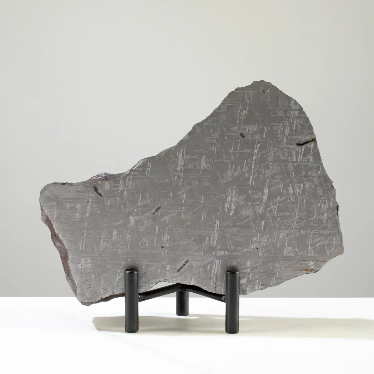 Gibeon With Carbon Iron Meteorite From Namibia 7.5" / 2,440 Grams 1