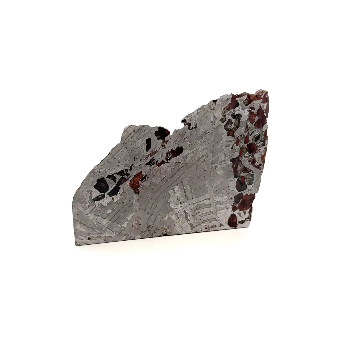 Seymchan Pallasite Stony-Iron Meteorite From Russia 3.5" / 298 Grams 1