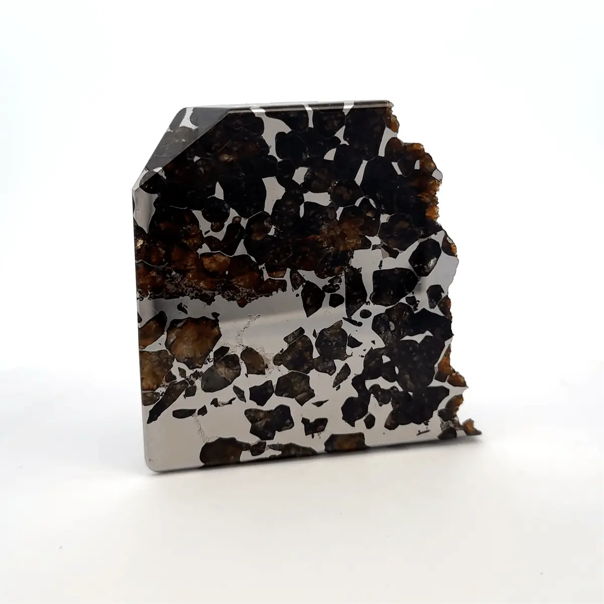 Seymchan With Pallasite Stony-Iron Meteorite From Russia 2.75" / 269 Grams 1