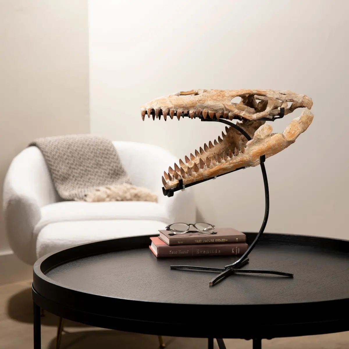 Moroccan Mosasaurus Jaw Fossil  On Custom Stand - 17" 1