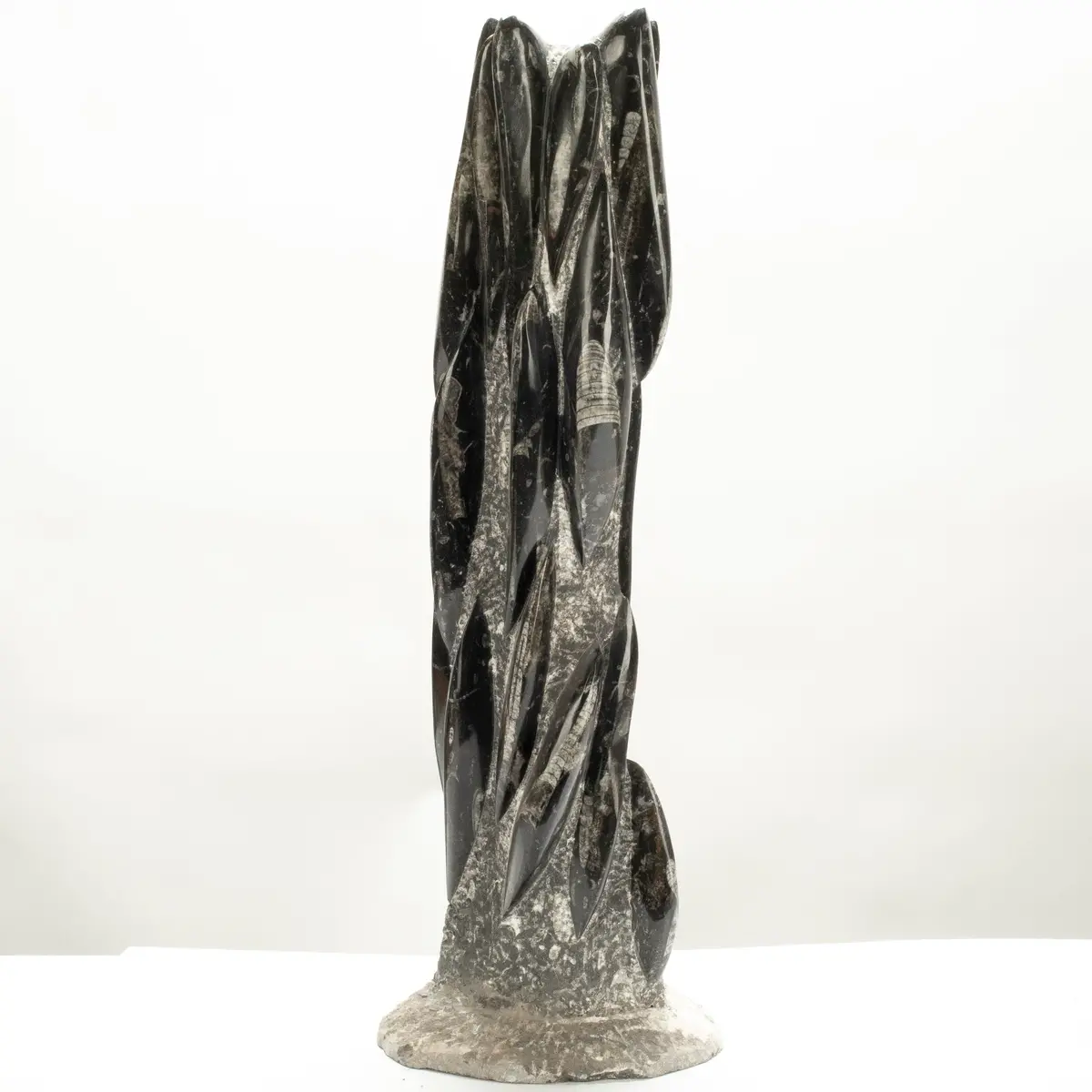 Moroccan Orthoceras Fossil Colony Tower - 29" 1