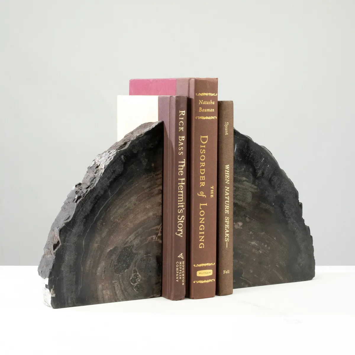 10" Black Petrified Wood Bookend Pair 1
