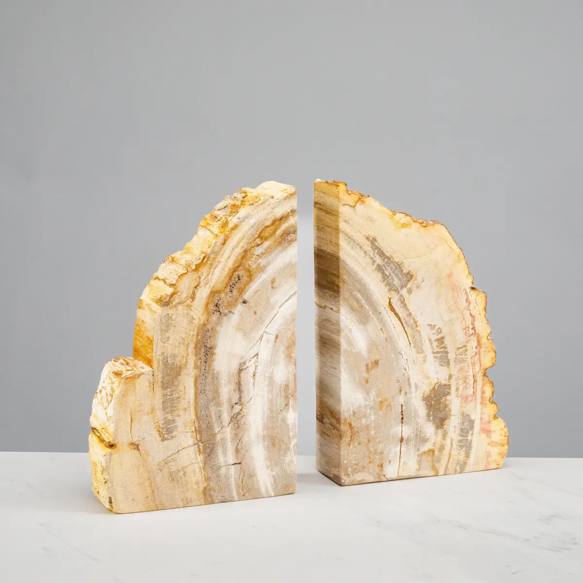 10" Brown Petrified Wood Bookend Pair 1