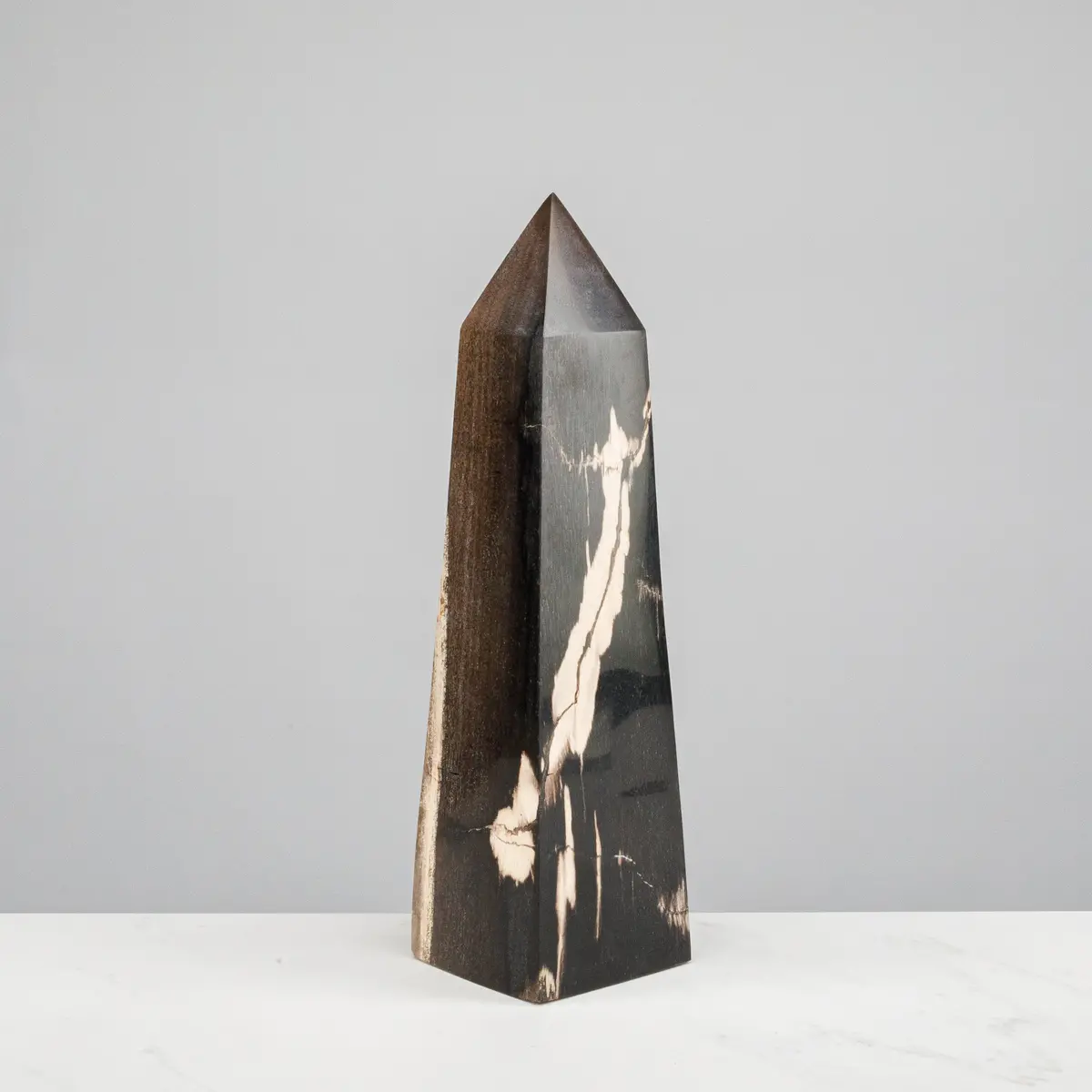 12" Black Petrified Wood Obelisk Point 1