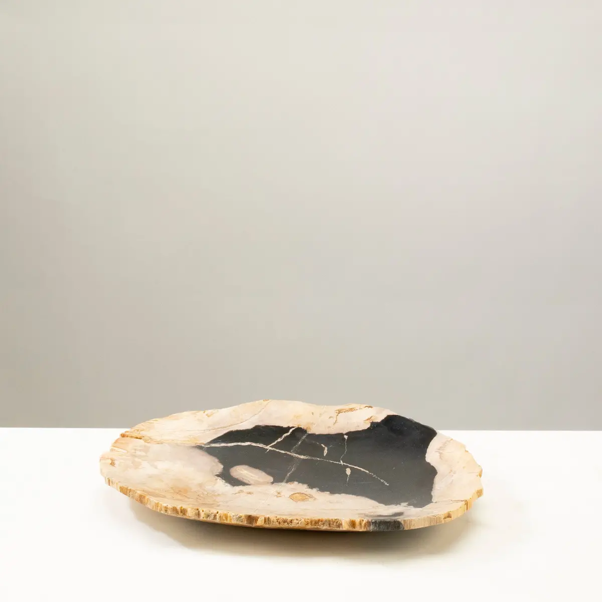 12" Black Petrified Wood Plate 1