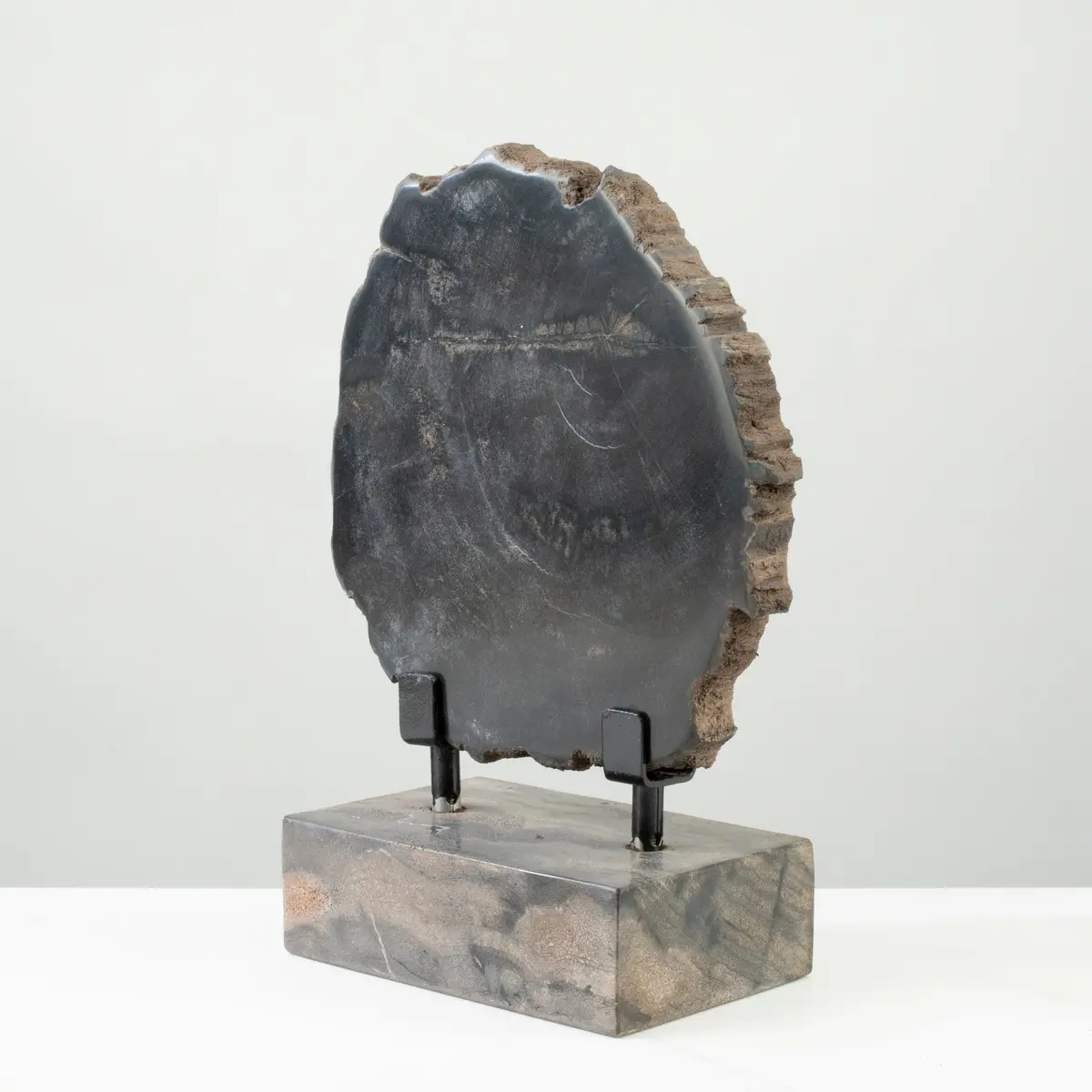 12" Black Petrified Wood Slice On Stand 1
