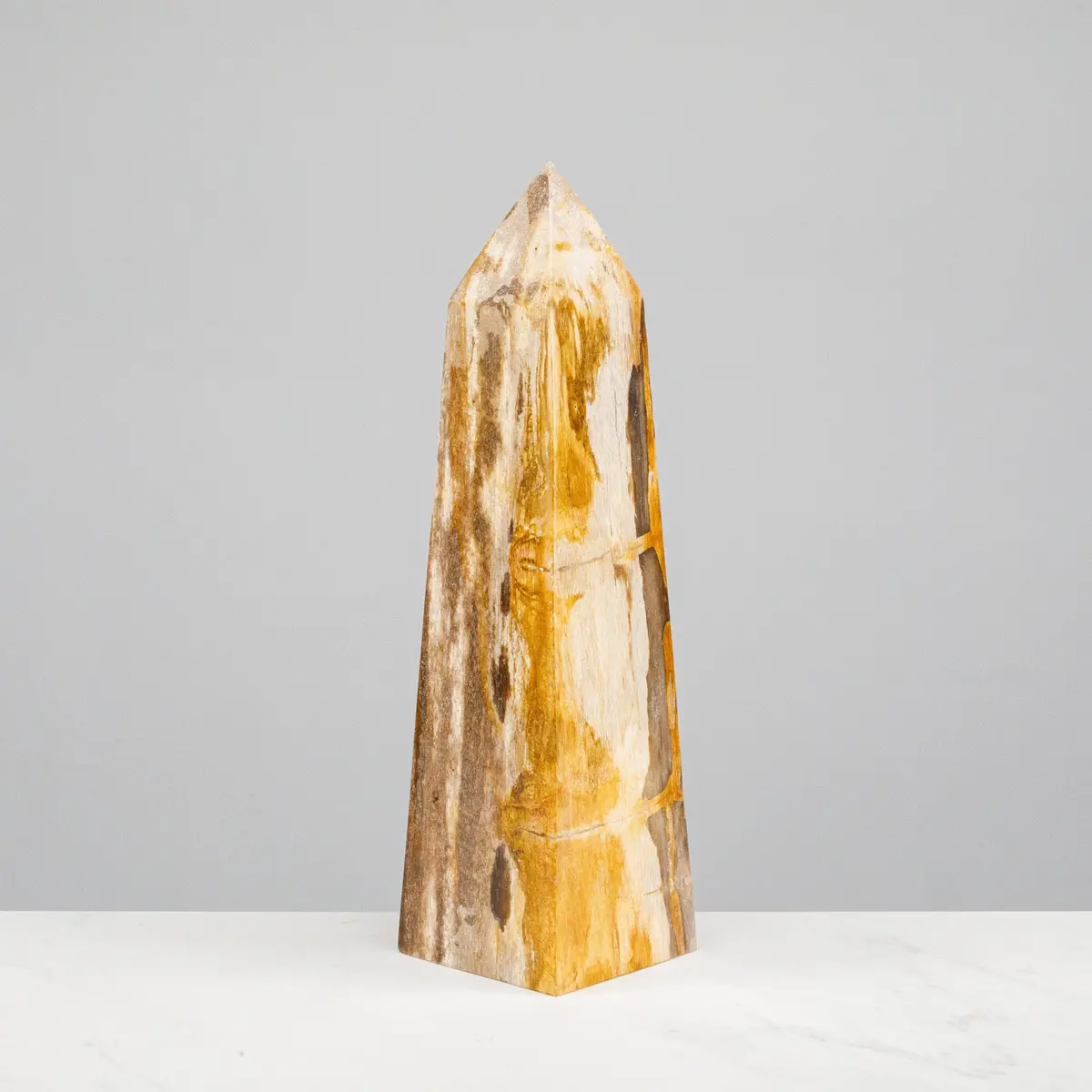 12" Brown Petrified Wood Obelisk Point 1