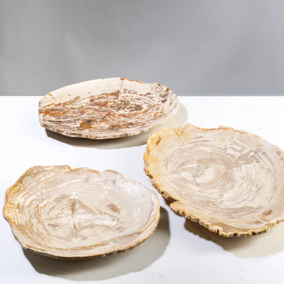 12" Brown Petrified Wood Plate 1