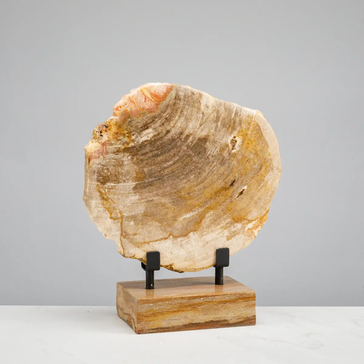 12" Brown Petrified Wood Slice On Stand 1