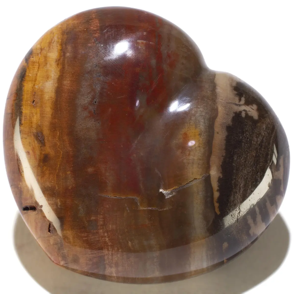 Petrified Wood Gemstone Heart Carving 170G / 3In. 1