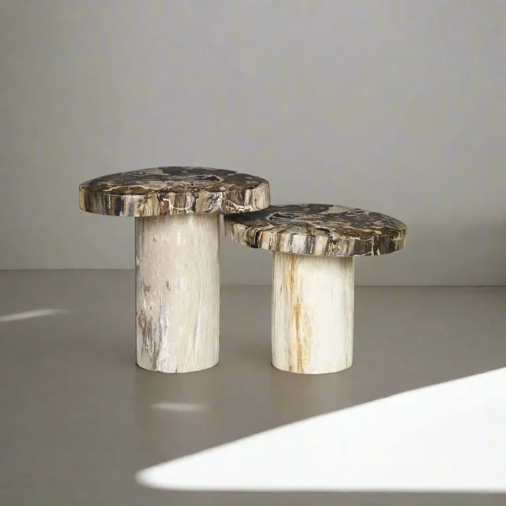 Petrified Wood Mushroom Side (Table A) 19" / 115 Lbs 1