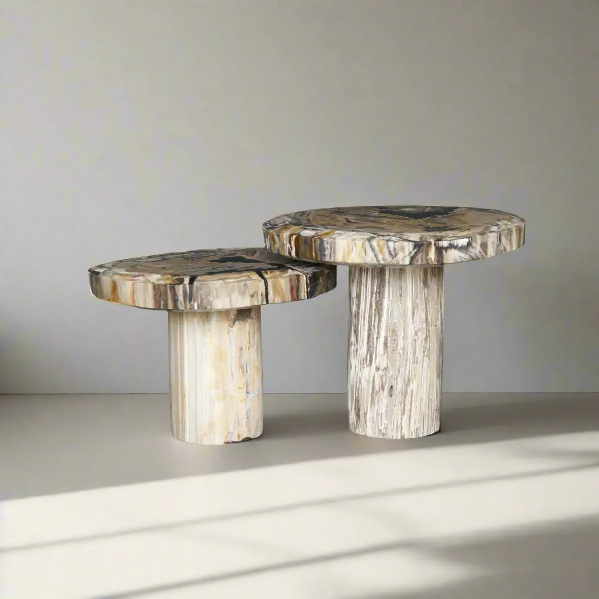 Petrified Wood Mushroom Side (Table A) 19" / 117 Lbs 1