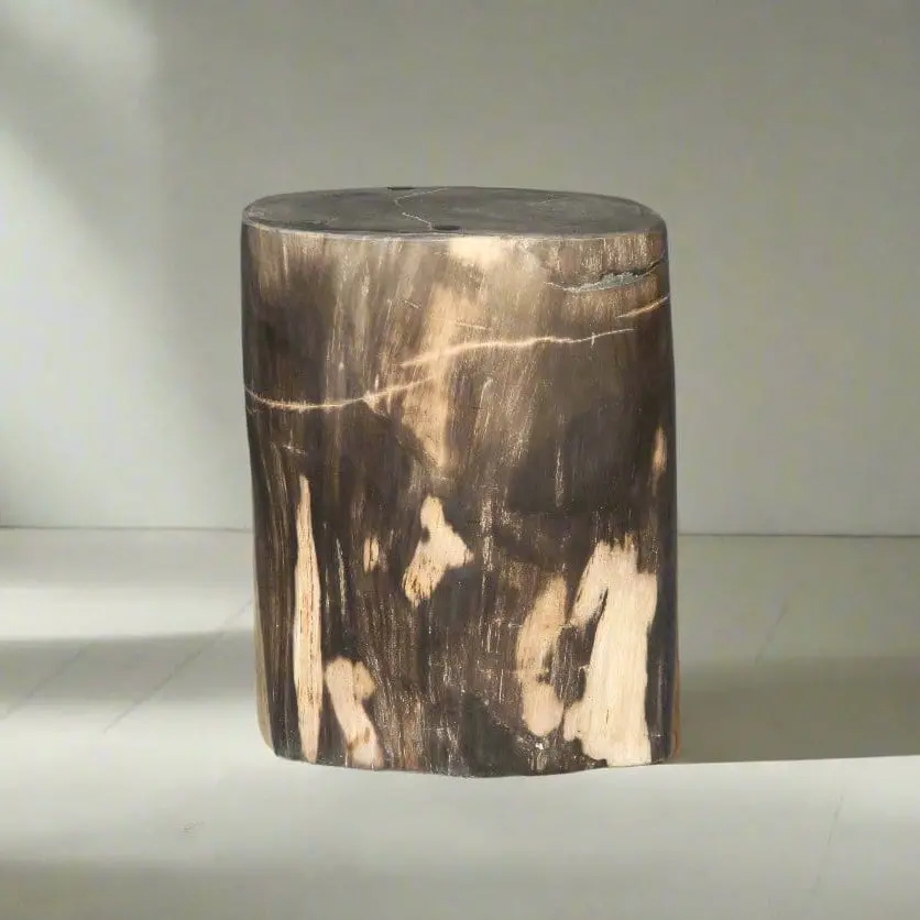 Petrified Wood Round Stump / Stool 16" / 170Lbs 1