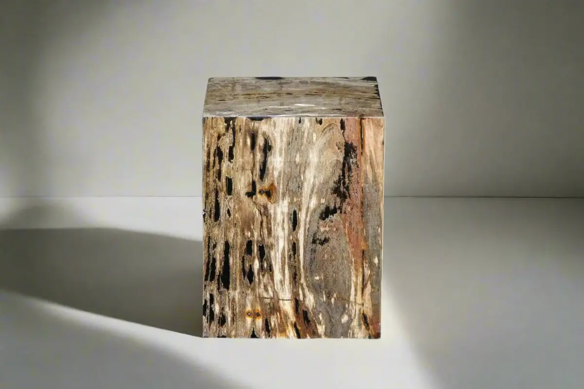 Petrified Wood Square Stump 12" / 185 Lbs 1