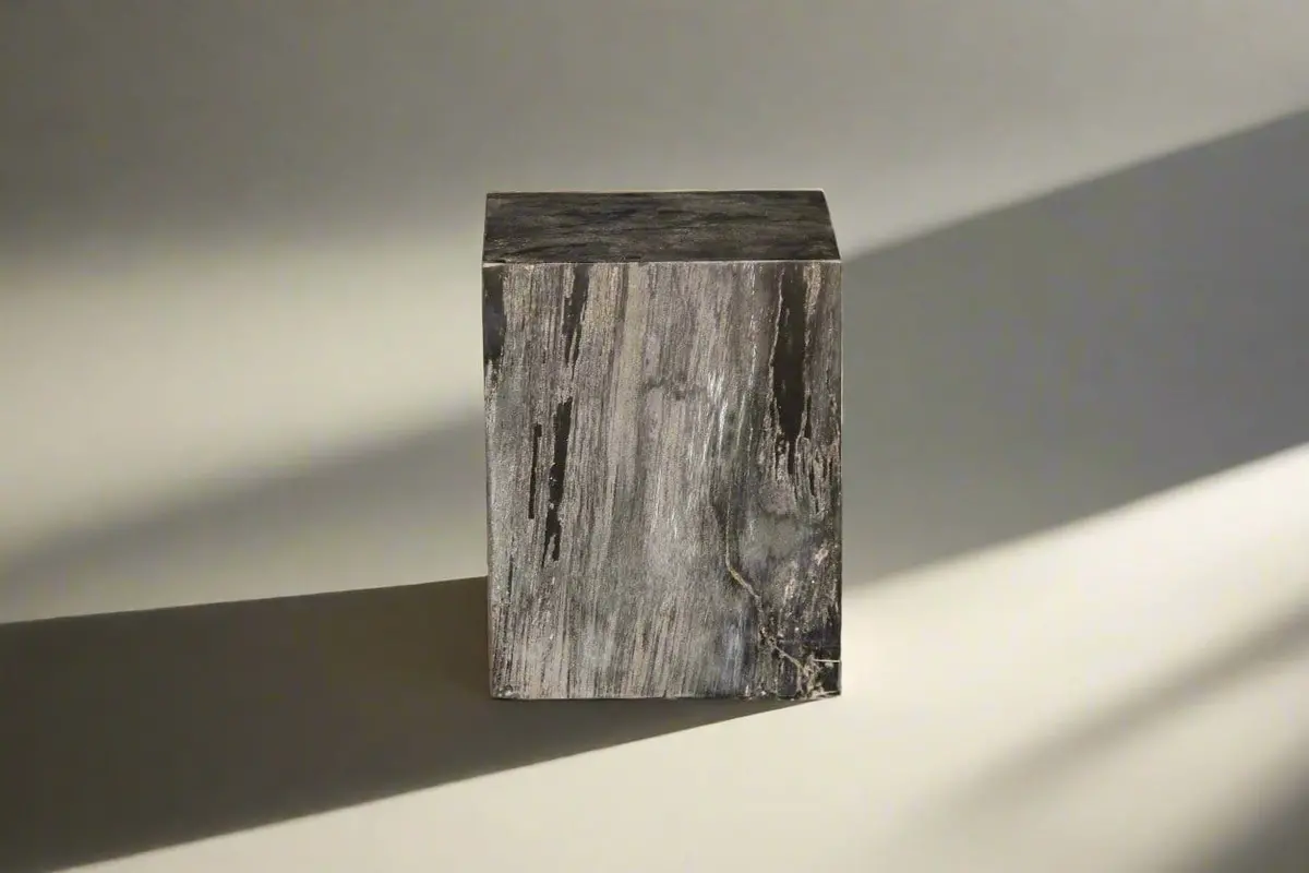 Petrified Wood Square Stump 12" / 185 Lbs 1