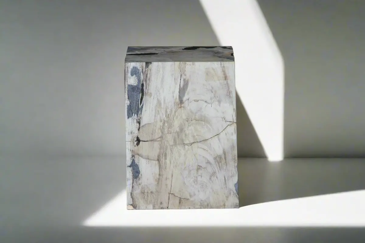 Petrified Wood Square Stump / Stool 16" / 198 Lbs 1