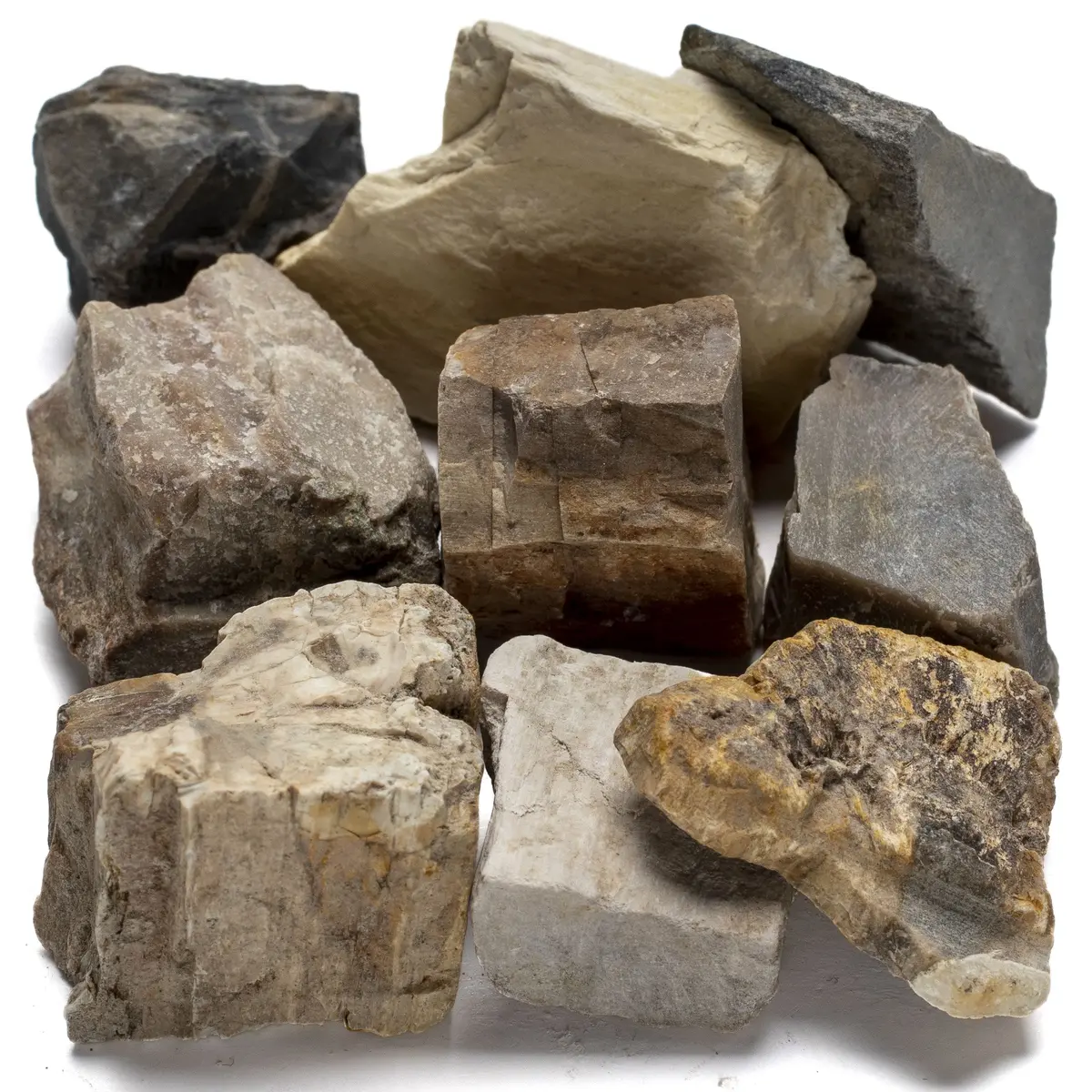 Rough Petrified Wood (10 Stone Bundle) 1